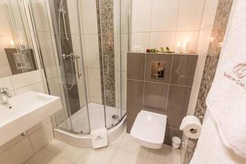 Фото номера Одноместный номер Отели типа «постель и завтрак» Borowy Dwór- Biznes, Spa &amp; Fun г. Шафляры 3